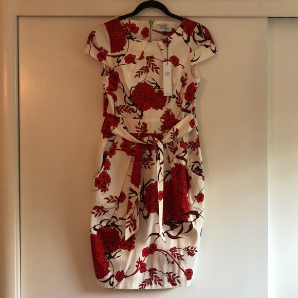 ASOS Closet London Tie Back Short Sleeve Dress In Large Floral Print - Picture 4 of 9